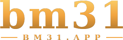 bm31 logo